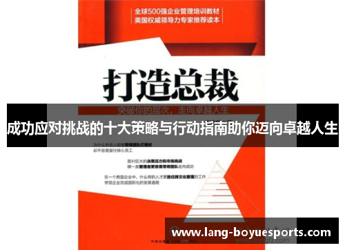 成功应对挑战的十大策略与行动指南助你迈向卓越人生