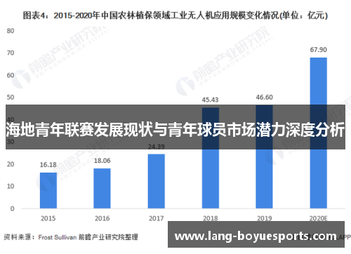 海地青年联赛发展现状与青年球员市场潜力深度分析 海地青年联赛发展现状与青年球员市场潜力深度分析