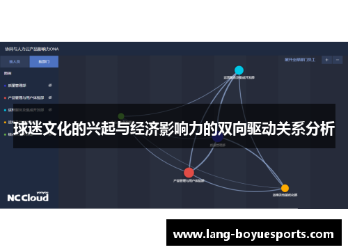 球迷文化的兴起与经济影响力的双向驱动关系分析 球迷文化的兴起与经济影响力的双向驱动关系分析