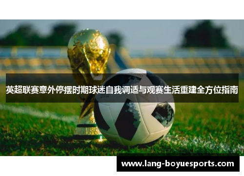 英超联赛意外停摆时期球迷自我调适与观赛生活重建全方位指南 英超联赛意外停摆时期球迷自我调适与观赛生活重建全方位指南