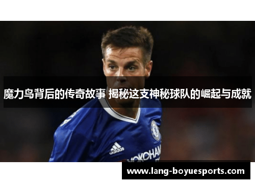 魔力鸟背后的传奇故事 揭秘这支神秘球队的崛起与成就 魔力鸟背后的传奇故事 揭秘这支神秘球队的崛起与成就